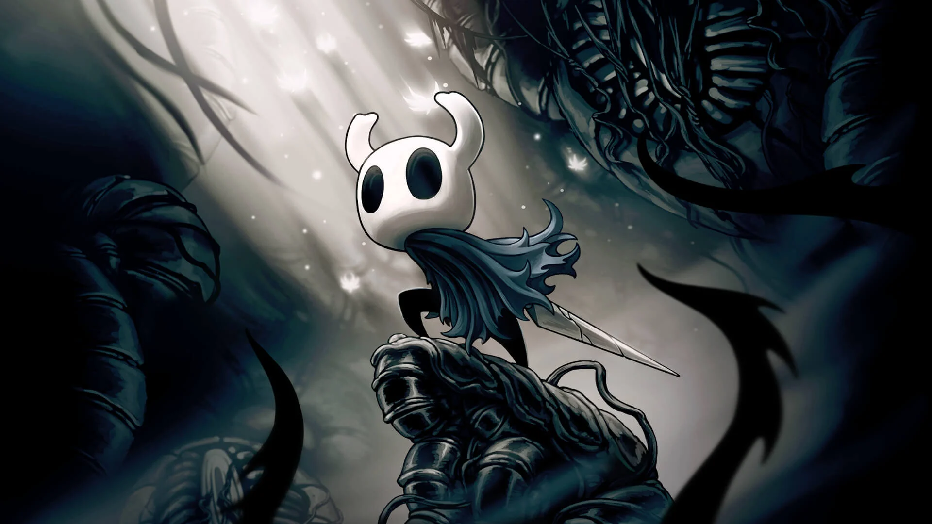Picture of a new Hollow Knight game 